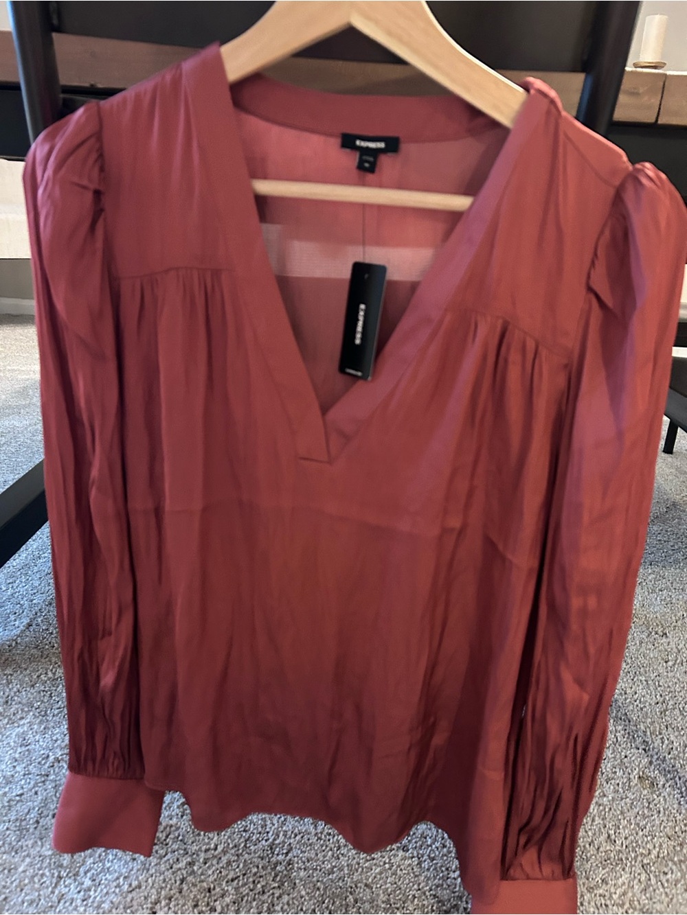 Express Satin V-Neck Blouse in Rust